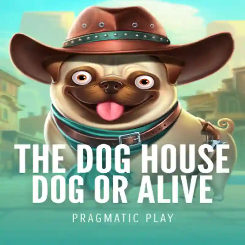 Juego Dog House Dog & Alive